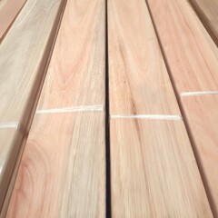 Deck de eucalyptus grandis
